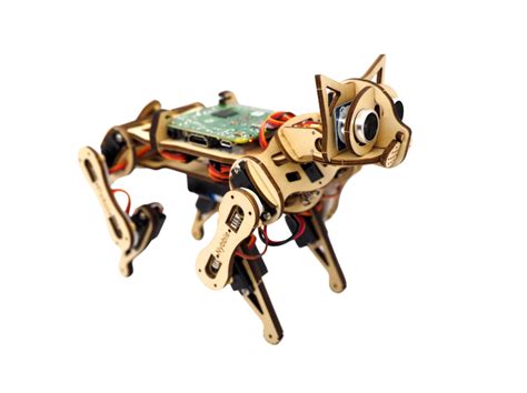petoi robot cat usa|Nybble Petoi Robot Cat .